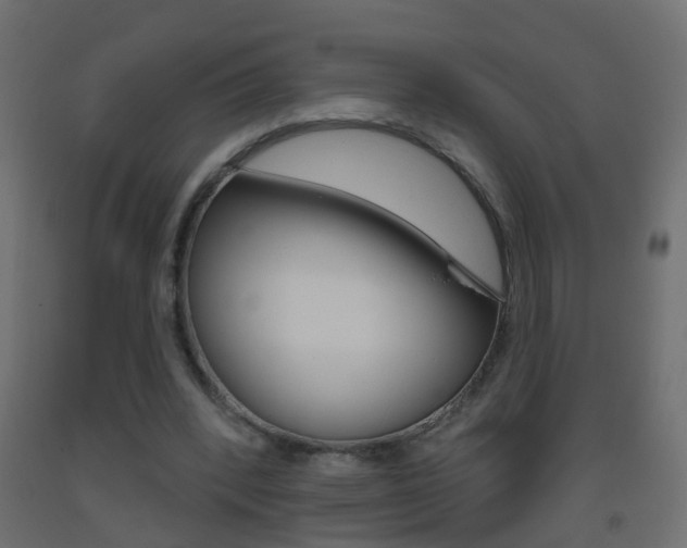 X0000093500392200710121048