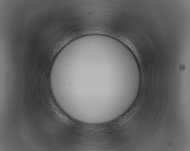 X0000093500393200710121047