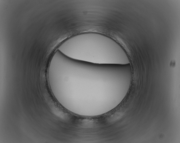 X0000093500394200710121047
