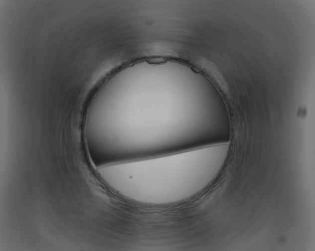 X0000093500395200710121047