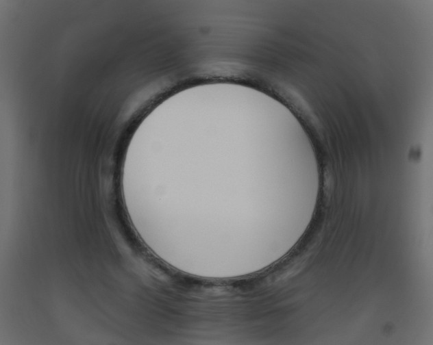 X0000093500396200710121047