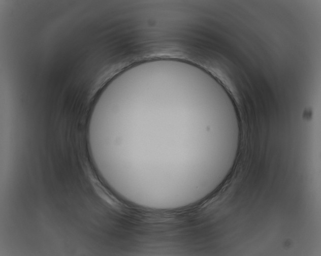 X0000093500397200710121047