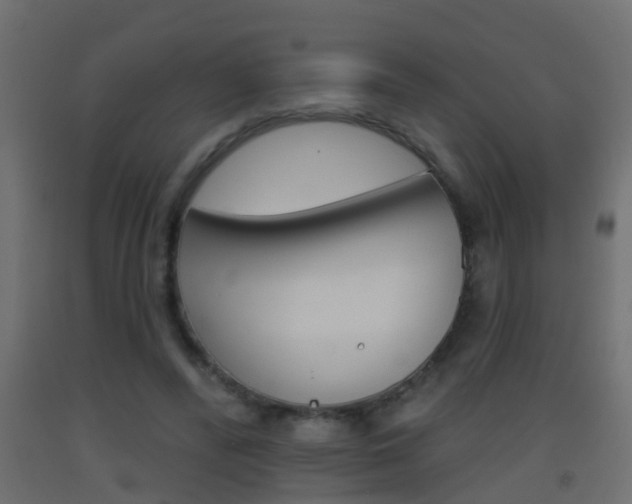 X0000093500400200710121047