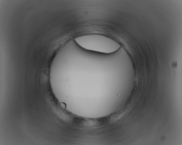X0000093500402200710121047