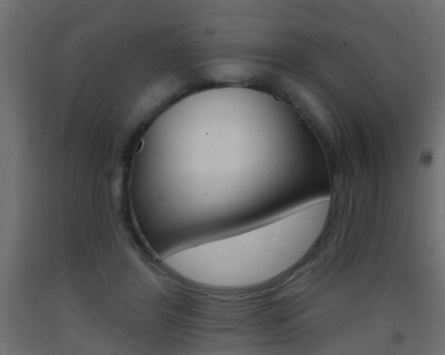 X0000093500404200710121047