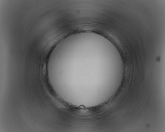 X0000093500406200710121047