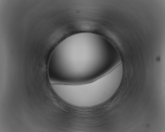 X0000093500407200710121047