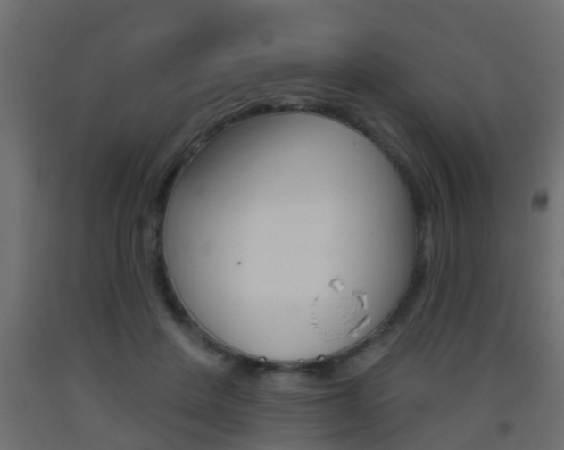 X0000093500408200710121047