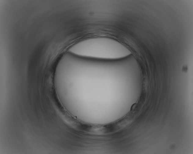 X0000093500410200710121047