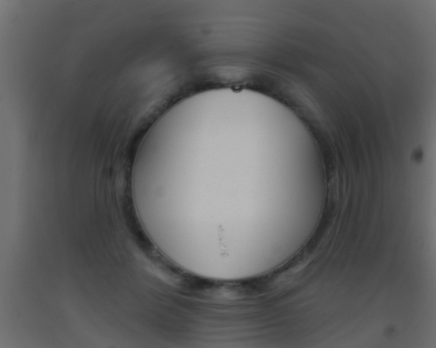 X0000093500412200710121047