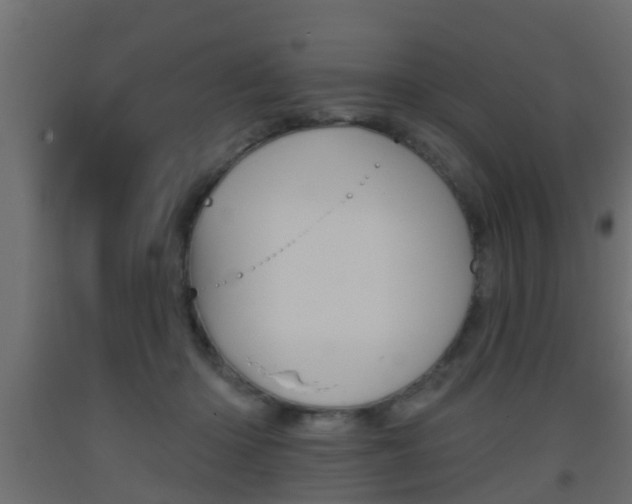 X0000093500414200710121047