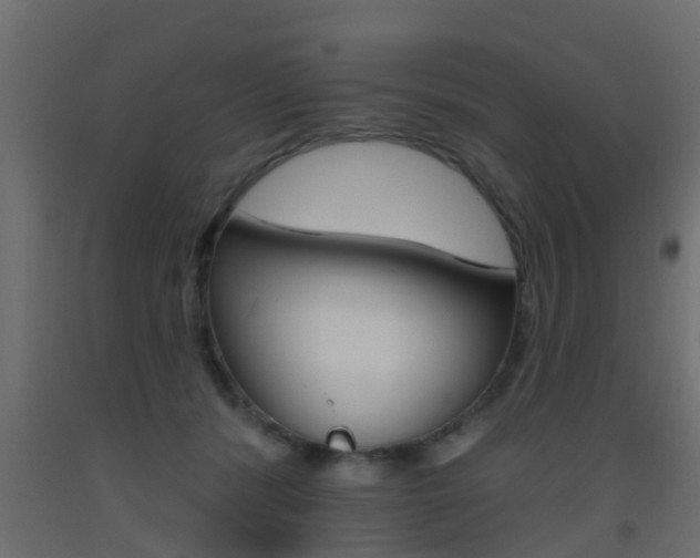 X0000093500416200710121047
