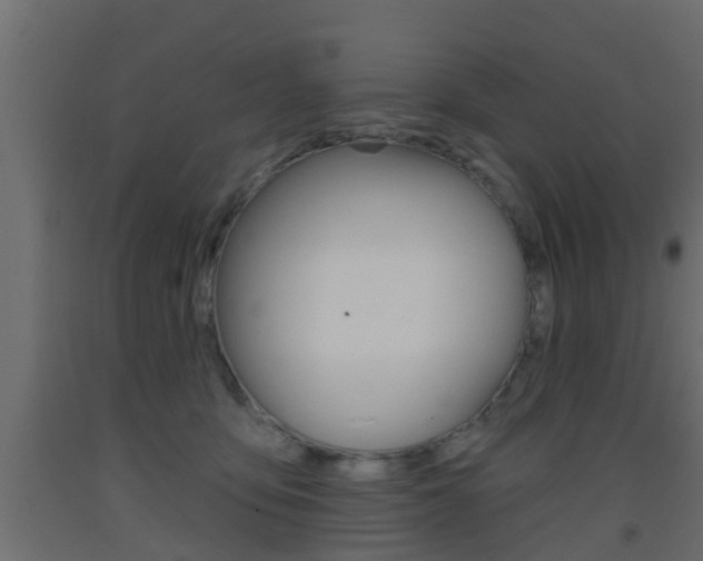 X0000093500419200710121047