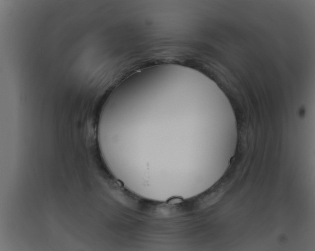 X0000093500420200710121047