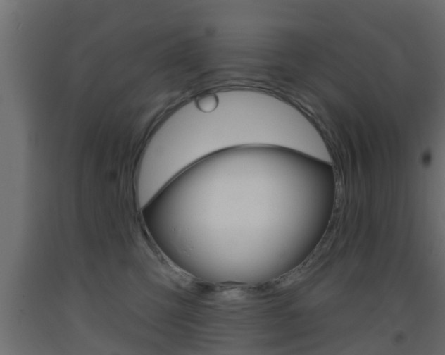 X0000093500423200710121047