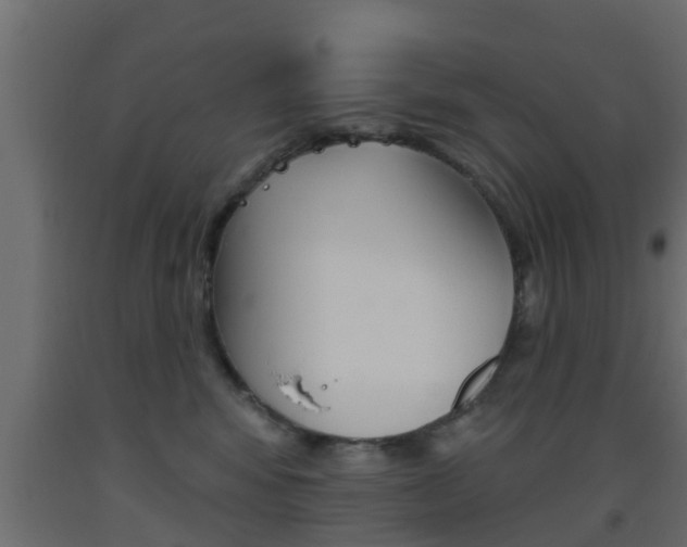 X0000093500424200710121047