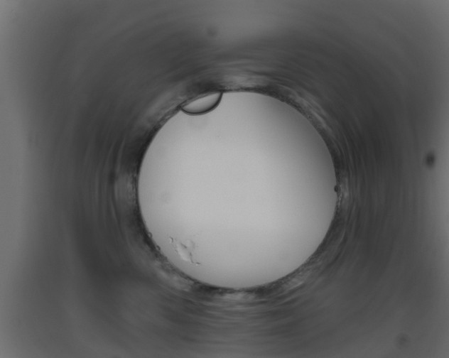X0000093500426200710121047