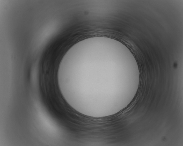 X0000093500429200710121047