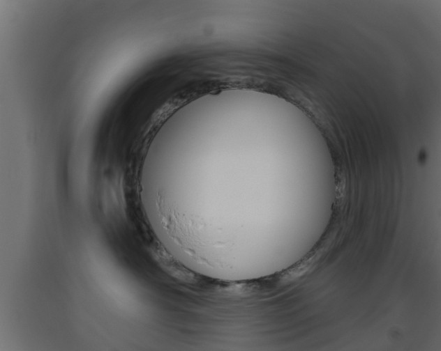 X0000093500430200710121047