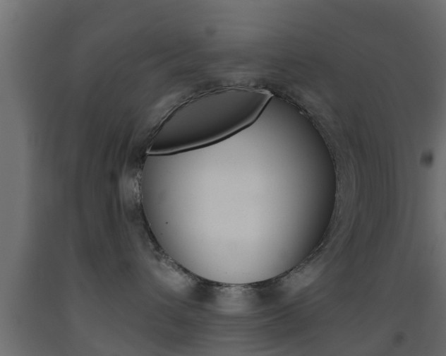 X0000093500432200710121047