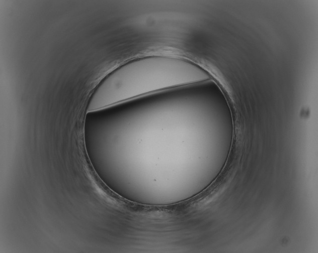 X0000093500433200710121046