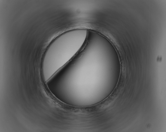 X0000093500434200710121046