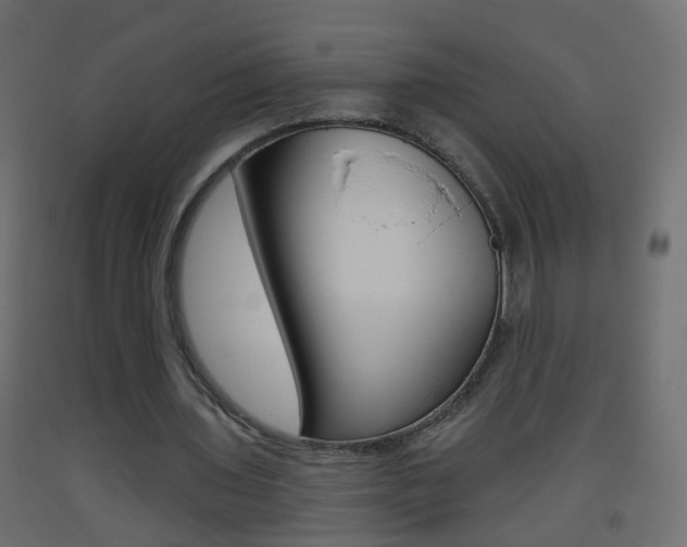 X0000093500435200710121046