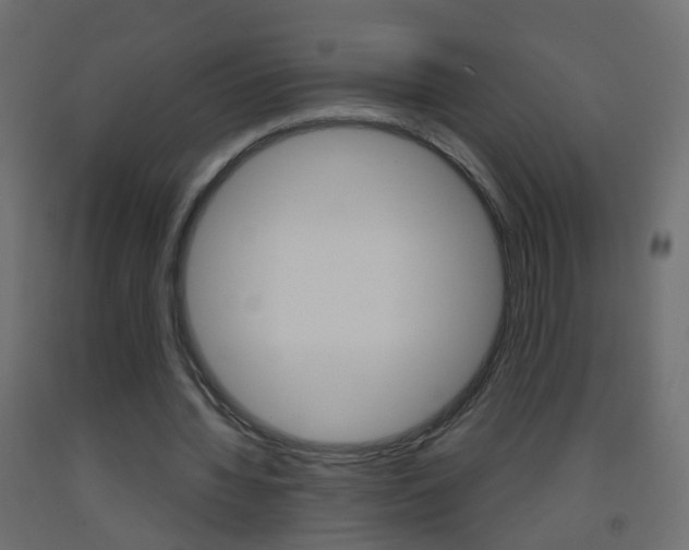 X0000093500436200710121046