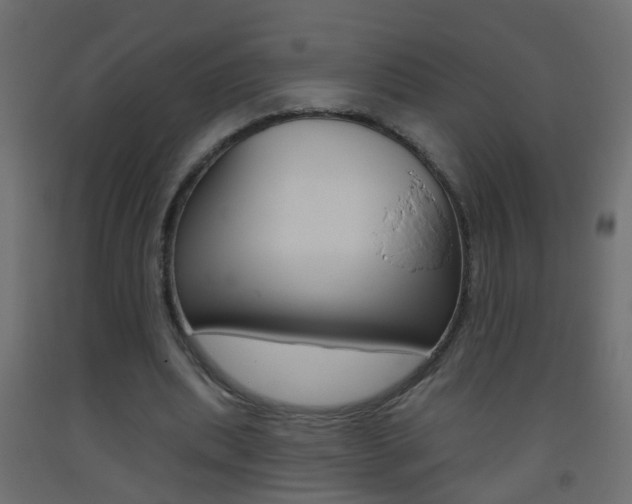 X0000093500439200710121046