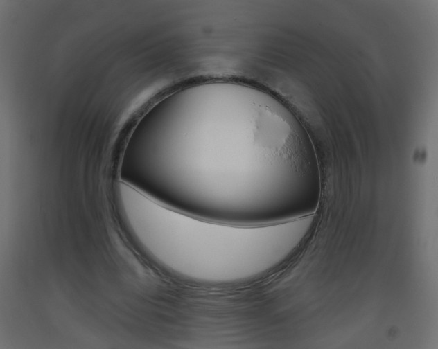 X0000093500440200710121047