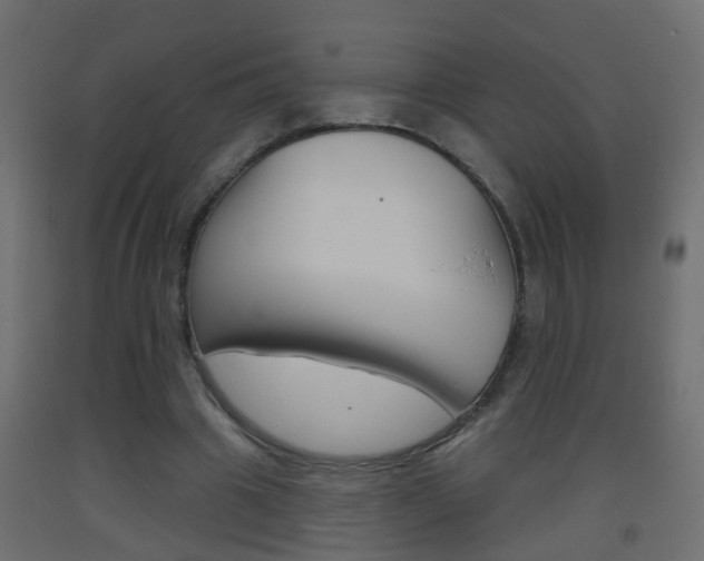 X0000093500441200710121047
