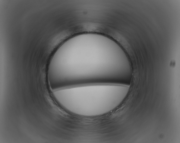 X0000093500442200710121047