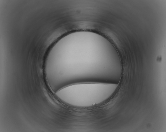 X0000093500443200710121047