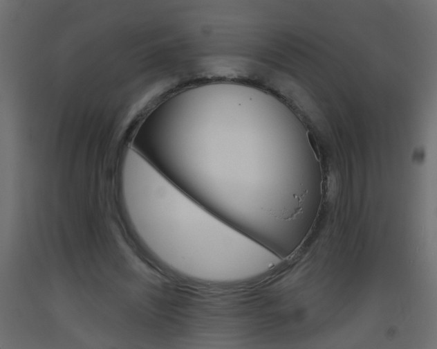 X0000093500444200710121047