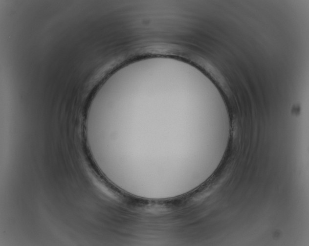 X0000093500445200710121047