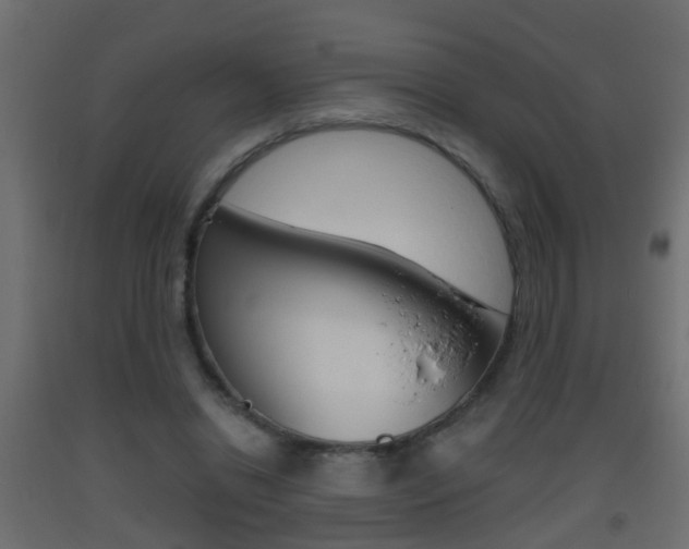 X0000093500446200710121047