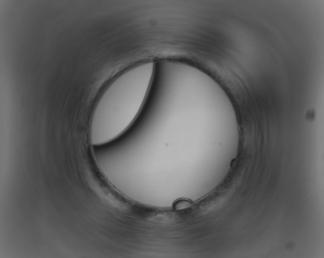 X0000093500447200710121047