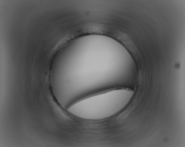 X0000093500449200710121047