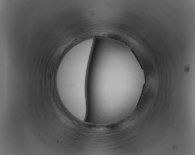 X0000093500452200710121047