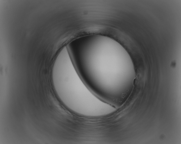 X0000093500454200710121047