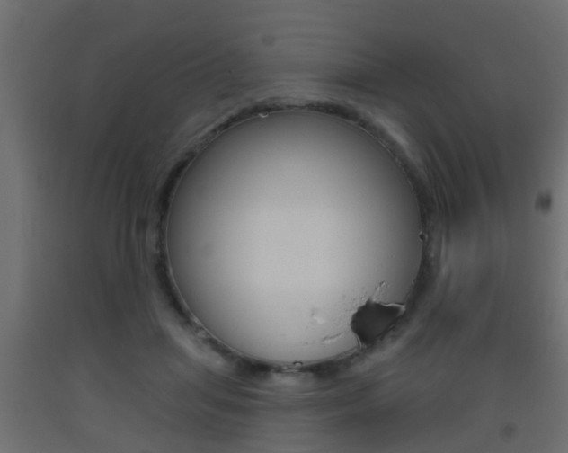 X0000093500455200710121047