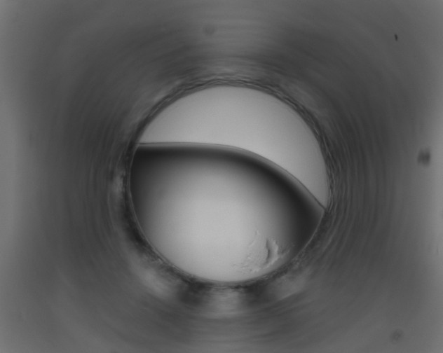 X0000093500456200710121047