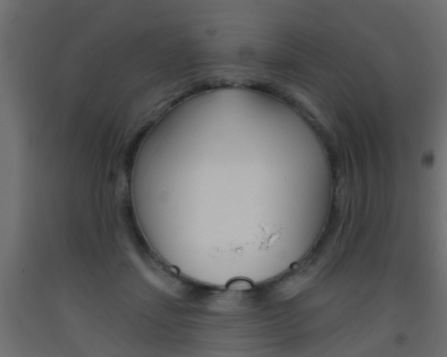 X0000093500459200710121047