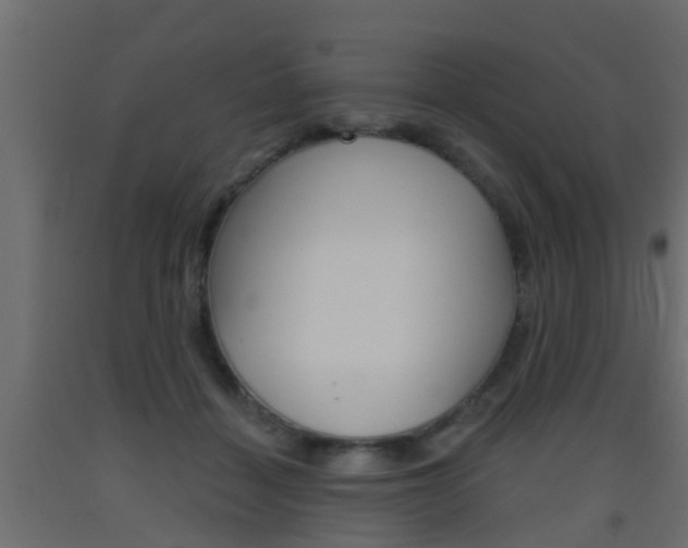 X0000093500460200710121047