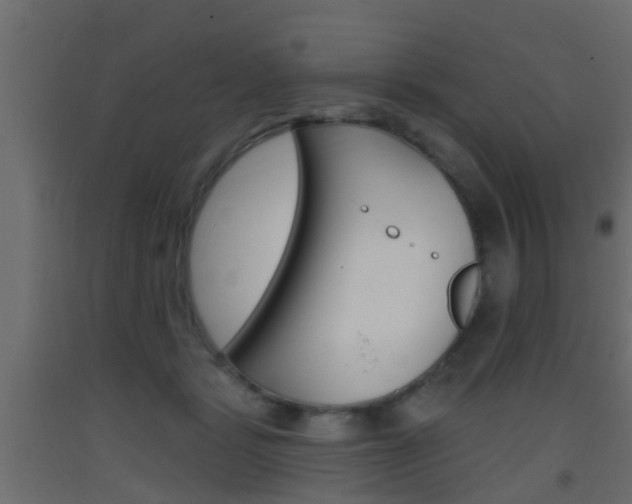 X0000093500461200710121047