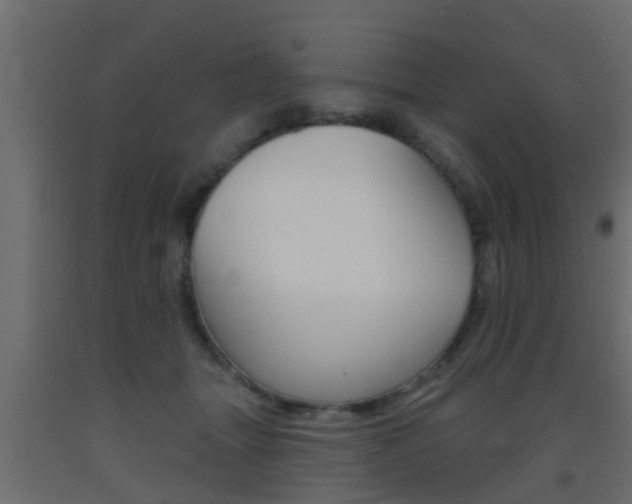X0000093500463200710121047