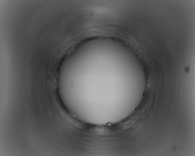 X0000093500464200710121047