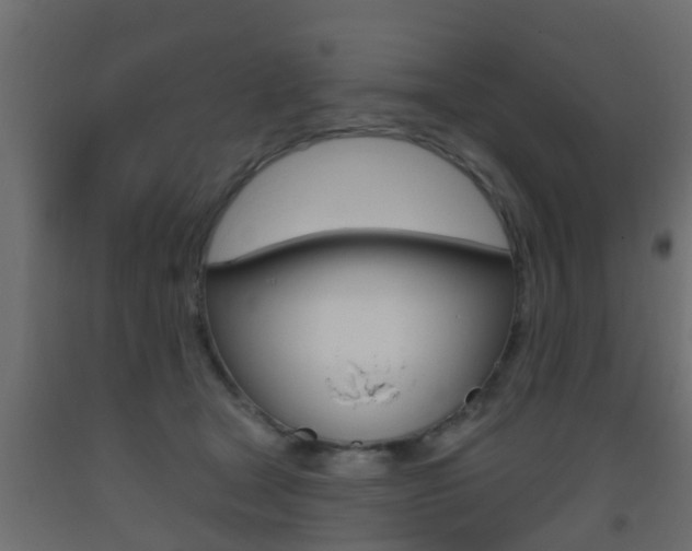 X0000093500465200710121047