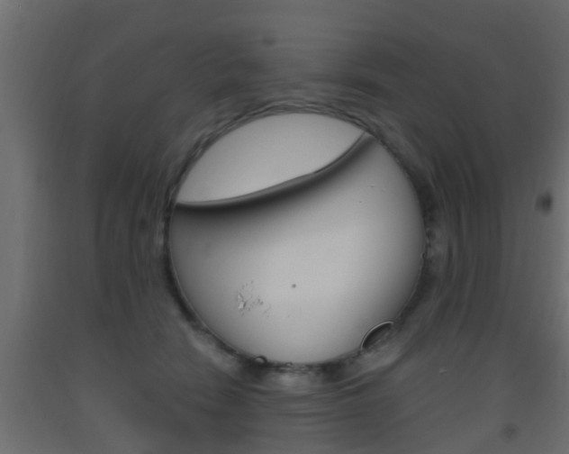 X0000093500466200710121047