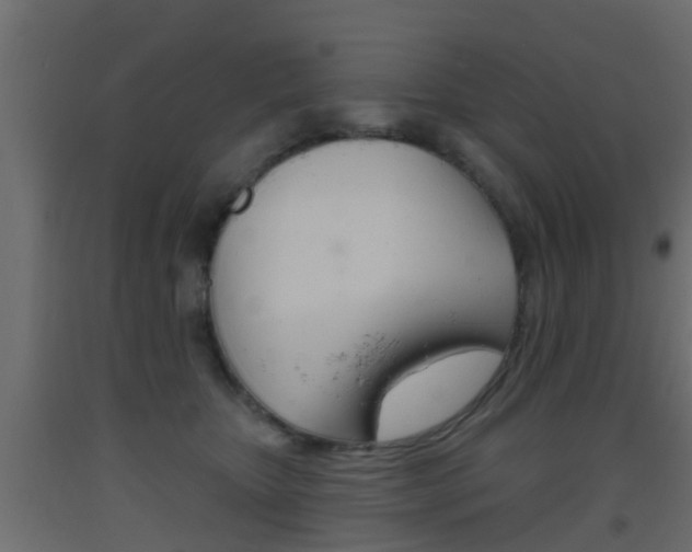 X0000093500467200710121047